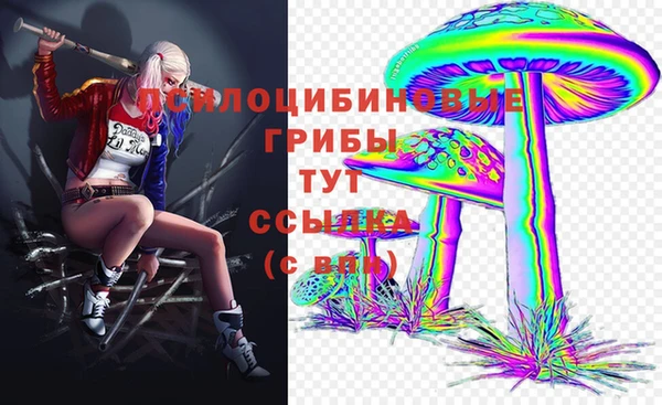 соль ск Няндома