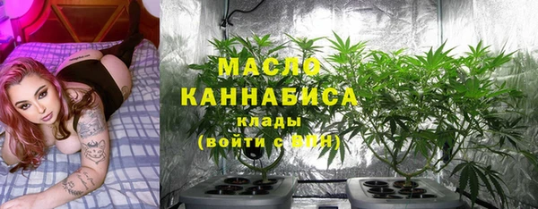 соль ск Няндома