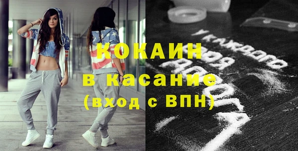 соль ск Няндома