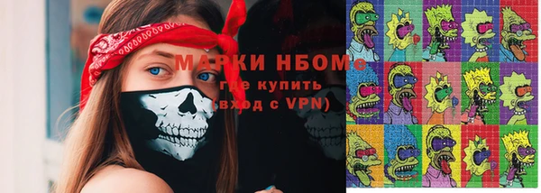 соль ск Няндома