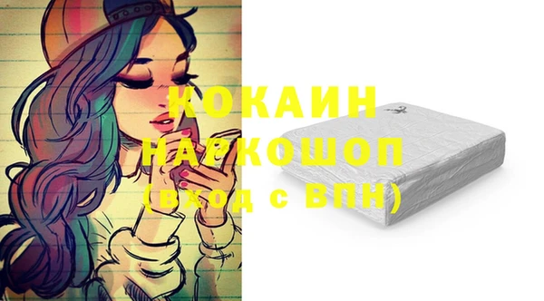 соль ск Няндома