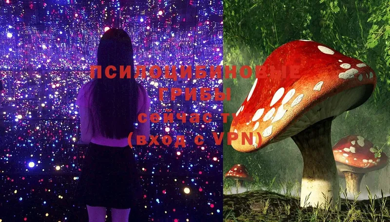 hydra   Динская  Галлюциногенные грибы Magic Shrooms  что такое  