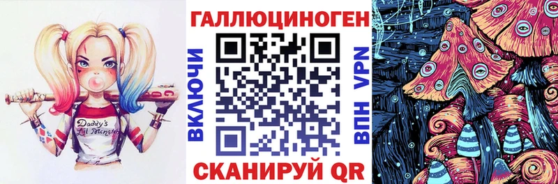 ОМГ ОМГ ссылки  Динская  Псилоцибиновые грибы Cubensis 